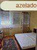 ELAD Cegldi 55 m2-es tgla laks