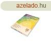 Msolpapr, digitlis A3, 170g, mzolt, fnyes Color Laser 