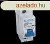 Kismegszakt 1P D 100A 10kA