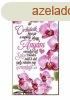 Dekor htmgnes, anyk napja, Orchidek kzt jr a napfny