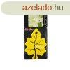 Aut illatost Pacsula