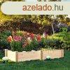 2 rekeszes fa palntz