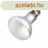 Infravrs izz Trixie ProSun Mixed D3 MOST 49492 HELYETT 22