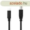 Nedis CCGB60650BK20 USB-C dug - USB- B dug (USB C - USB B)