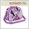 Minnie Mouse Butterflies 3D ebdtska ZT04868