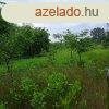 Nyregyhza Szentimre Telepen 9800 m2 ptsi telek