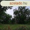 Nyregyhza Szentimre Telepen 9800 m2 ptsi telek