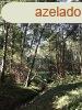 Elad telek Zalaegerszeg kzpontjtl 10 km-re. - Bagod