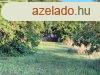 Elad ptsi telek Srszentmihly