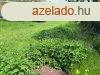 Elad telek Komrom, 	Blaha Lujza utca