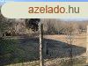 Elad 0ptsi telek, Andornaktlya