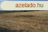 Isaszegen, sznt elad