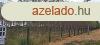 Szerbia szaki rszn, a vajdasgi Zentn, Szegedtl 45 km, 