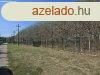Szerbia szaki rszn, a vajdasgi Zentn, Szegedtl 45 km, 