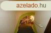 Kiskunhalason tbb zlet s piac egyben elad