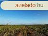Elad panorms szlterlet Znkn! - Znka