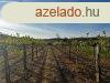 Elad panorms szlterlet Znkn! - Znka