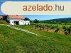 BALATONI PANORMS SZLBIRTOK FELSRSN KT PLETTEL - Fe