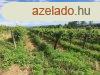 PANORMS  szl-ELAD  Szentantalfn - Szentantalfa