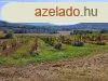 pthet, tjpanorms-elad MEZGAZDASGI TERLET MINDSZENT
