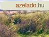 Tihanyi-flsziget -Dis rszn ELAD terlet