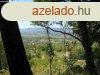 Szent Gyrgy-hegyi rkpanorma, j tulajra vr ma. - Hegym