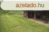 Elad csaldi hz Szce, 	Csendes utca