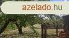 Rkczifalvn elad kertes csaldi hz! - Rkczifalva