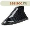 Amio, Cpa Antenna, Karbon