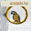 Kalitkhoz rgzthet papagj ls