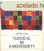 Tudod-e, mi a mvszet? - Vgvri Lajos