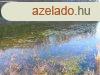 Elad Zala megyben Kerecseny faluban egy ptsi telek!