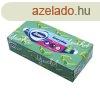 Paprzsebkend 2 rteg 100 db/csomag Zewa Everyday