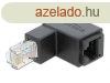 DeLock Adapter RJ45 plug downwards angled > RJ45 jack Cat
