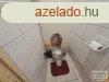 Elad 48 nm-es Tglalaks Hdmezvsrhely   