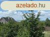 Elad kt szintes Csaldi hz Balatonszrszn