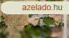 Elad csaldi hz Karcsond, 	Csendes utcban