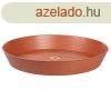 Primavera csszealj virgcserpbe terrakotta tmr 16 cm