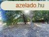 Fs-ligetes zldell telek
