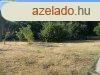 Fs-ligetes zldell telek