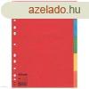 Elvlasztlap ESSELTE A/4 karton 5rsz