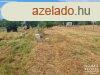 Elad ptsi telek Hdmezvsrhely   