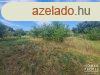 Elad ptsi telek Hdmezvsrhely   