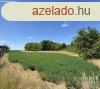 Zrtkert elad Gylarten a vzpart mellett! - Szeged