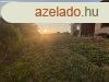 Elad 59 nm-es Feljtott Csaldi hz Hort