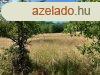 Sifok Trekiben mezgazdasgi telek elad