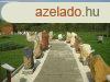 Elad 21000 nm-es  Tpiszele Sziget utca 