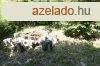 Elad 107 nm-es jszer llapot Htvgi hz Rckeve