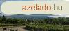 BALATONI PANORMS csaldi hz elad BALATONEDERICSEN pincv
