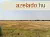 | Elad 5,968 hektr mezgazdasgi terlet - Hdmezvsrhel